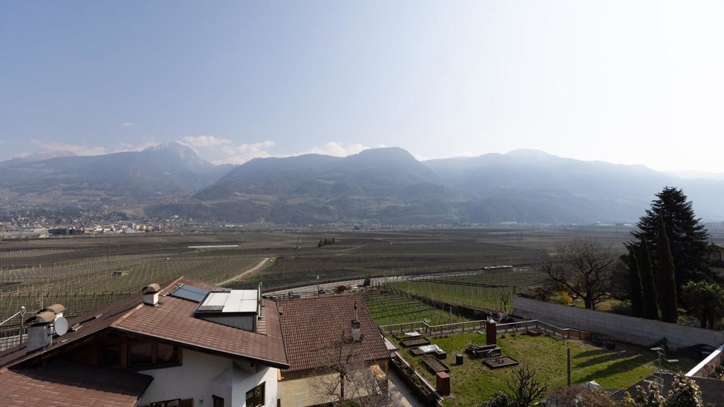 mss_renderimg (19).jpg