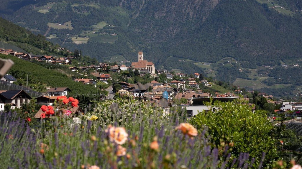 mss_renderimg (20).jpg