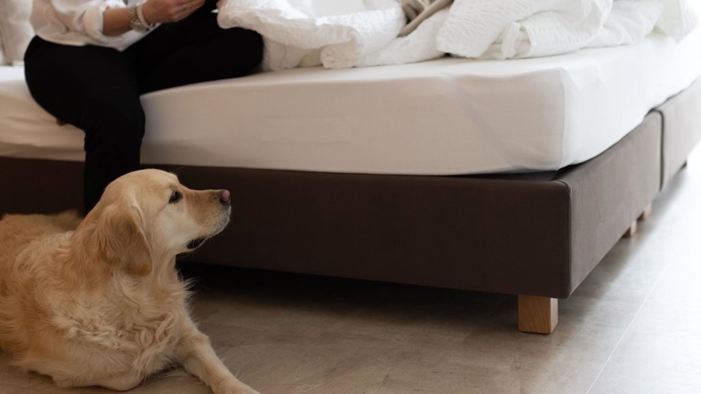 mss_renderimg (6).jpg