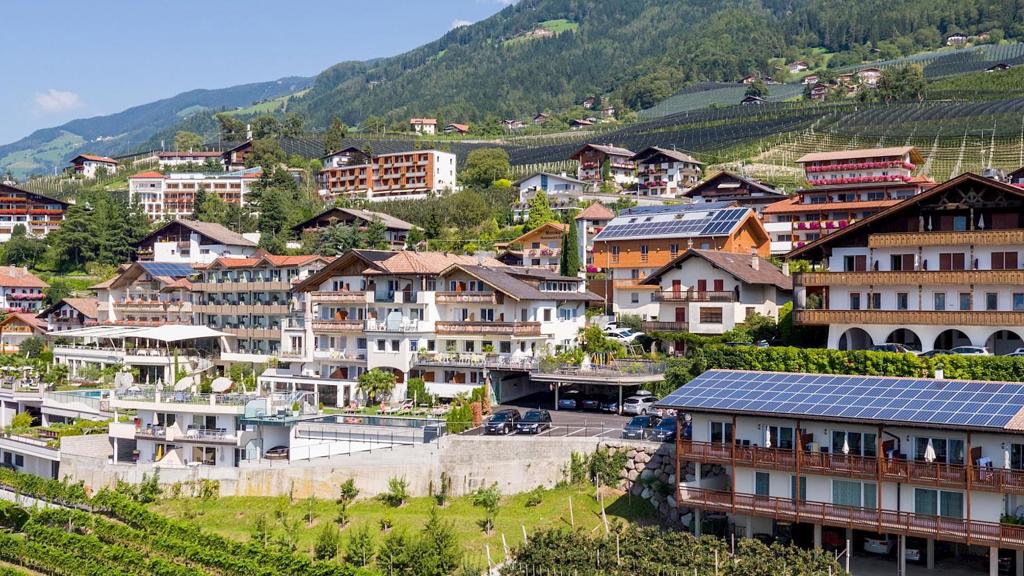 staschitz-1.2100x882.jpg