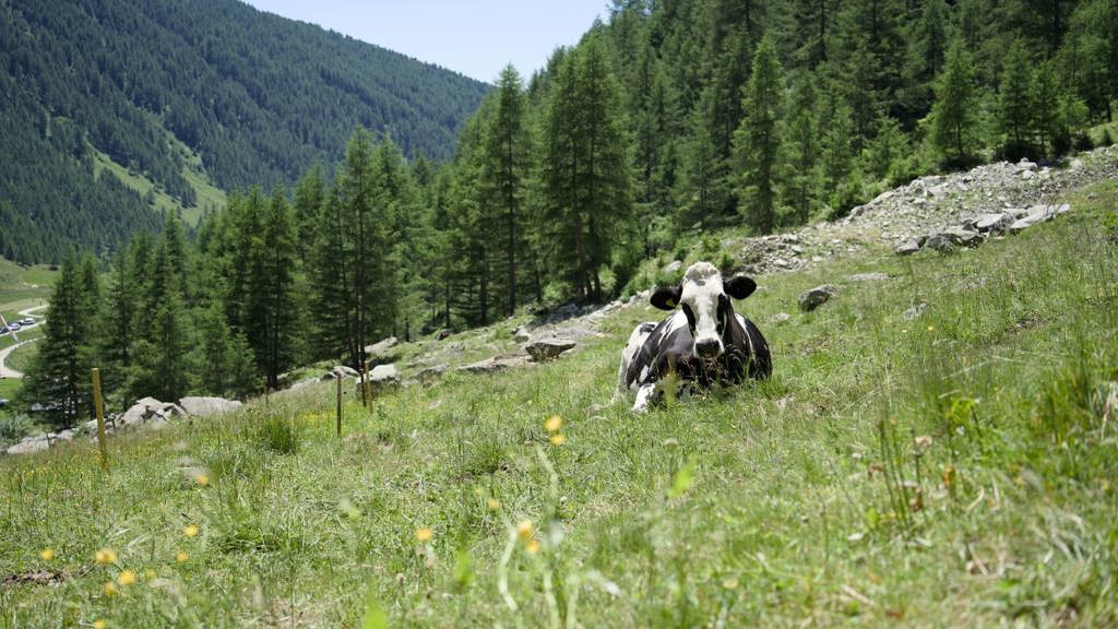 DSC01909.jpg
