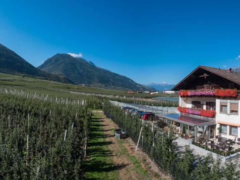 Pension Tannenhof - Latsch im Vinschgau