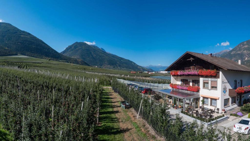 Pension Tannenhof - Pensioni a Laces in Val Venosta / Alto Adige