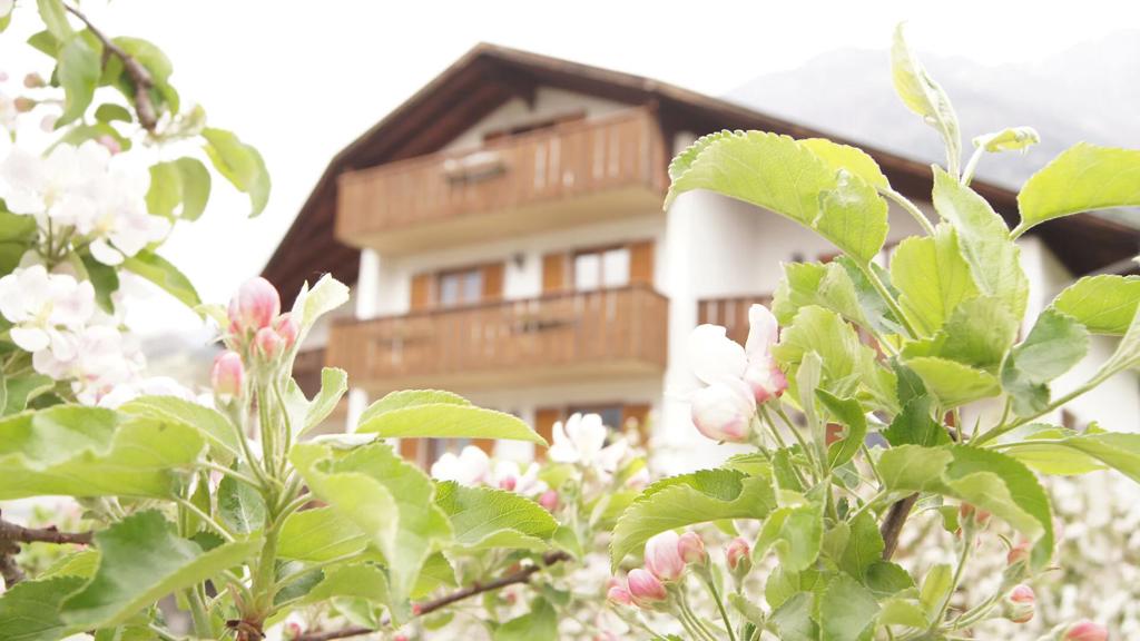 web-rendition-4 (1).jpg