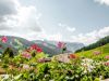 67_camere_confortevoli_alta_badia_30.jpg
