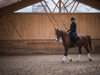 059_purmontes-reiten_©KOTTERSTEGER_250313_KOT_9041-1119.jpg