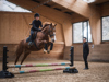 083_purmontes-reiten_©KOTTERSTEGER_250313_KOT_9740-714_Bearbeitet.jpg