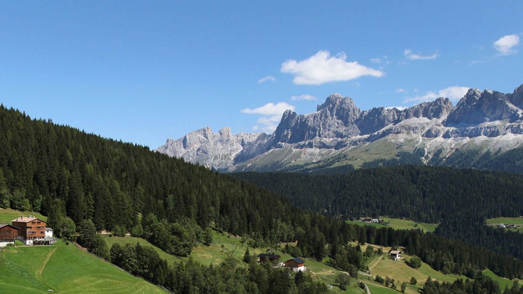 geigerhof-suedtirol.jpg