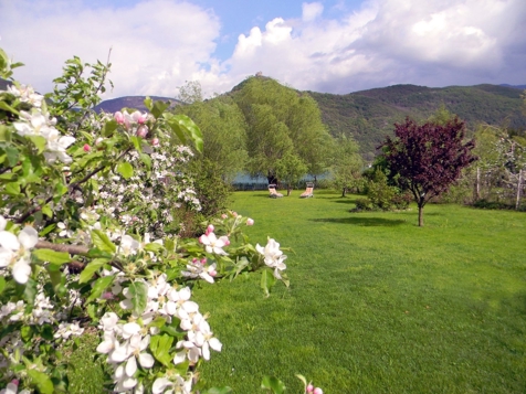 Appartement Seespiegel - St. Josef am See in Southern South Tyrol
