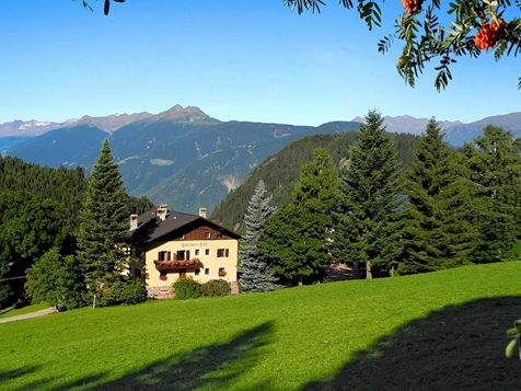 Steinerhof - Hafling in Meran and environs