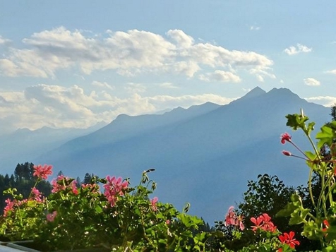 Steinerhof - Hafling in Meran and environs