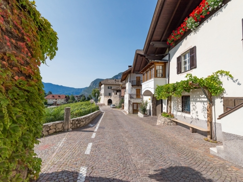 Ortenhof - Kurtatsch an der Weinstraße in Southern South Tyrol