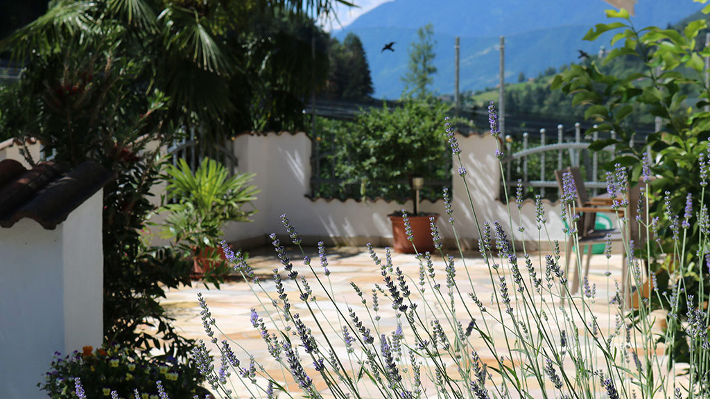 masulhof-urlaub-auf-dem-bauernhof-10.jpg