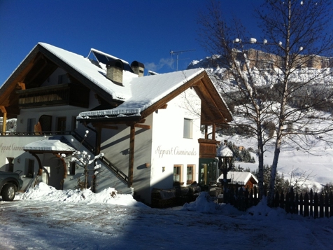 Appartment Ciaminades - Abtei in Alta Badia