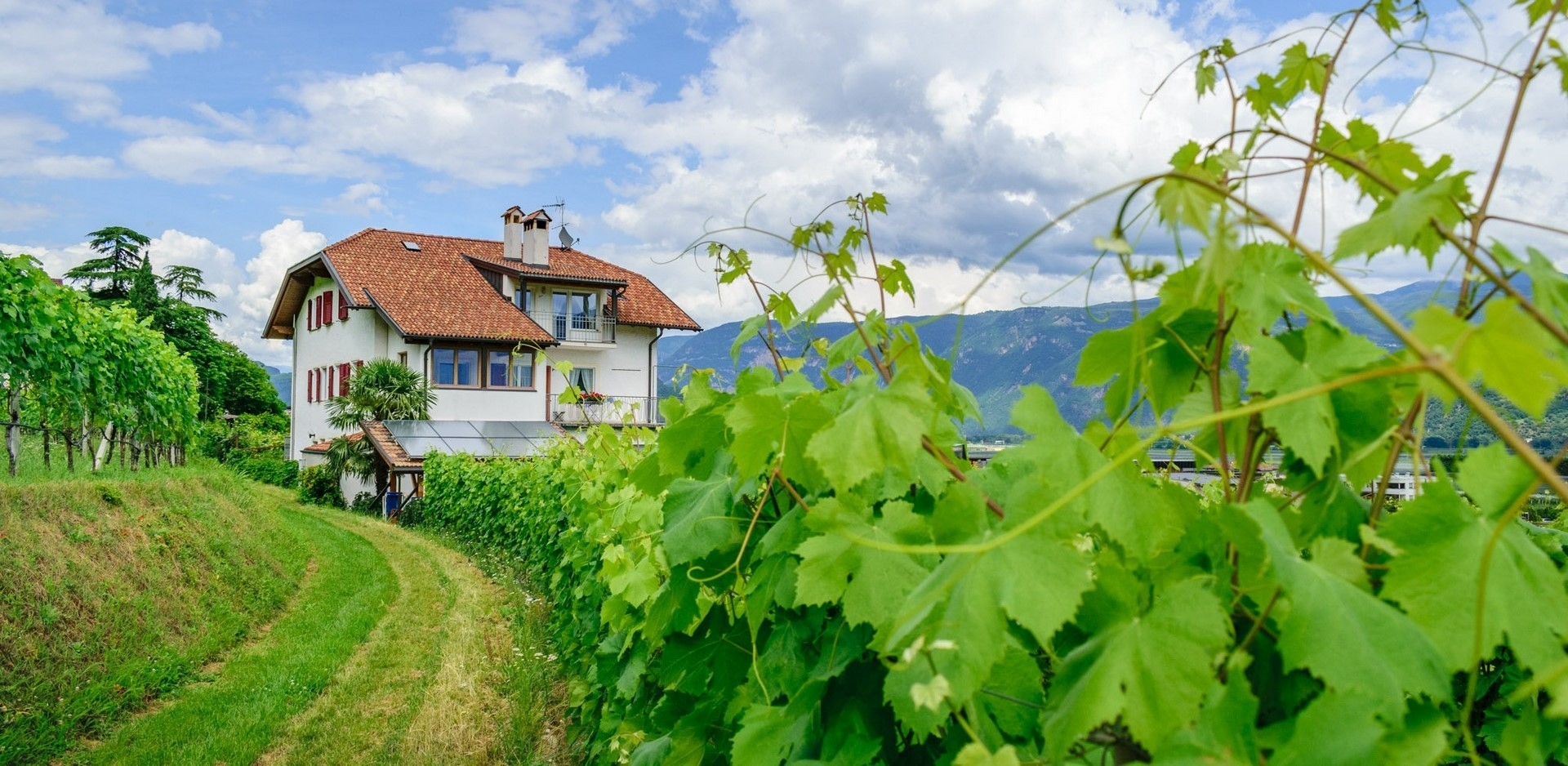 Haus Rogginer - Tramin an der Weinstraße in Southern South Tyrol
