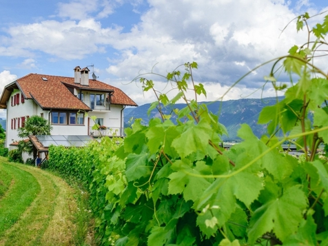 Haus Rogginer - Tramin an der Weinstraße in Südtirols Süden