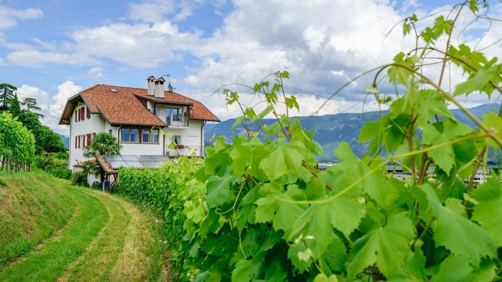 Haus Rogginer - Ferienwohnung / Residence in Tramin an der Weinstraße in Südtirols Süden / Südtirol