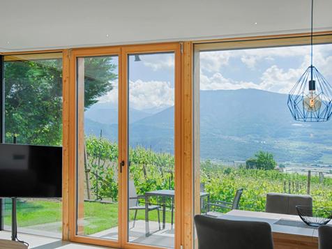 Feldhof AgriSuite-Apartments - Tramin an der Weinstraße in Southern South Tyrol