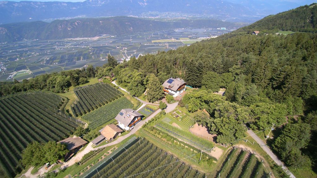 Altebnerhof Juli 2018 (2).jpg