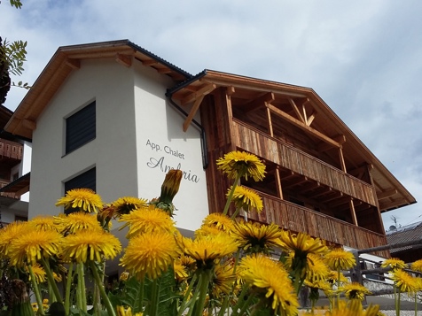 Chalet Ambria Appartments - La Villa in Alta Badia