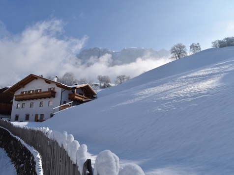 Pecherer Hof - Alpe di Siusi in South Tyrol
