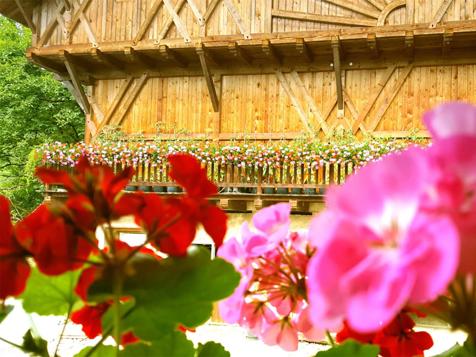 Pecherer Hof - Alpe di Siusi in South Tyrol