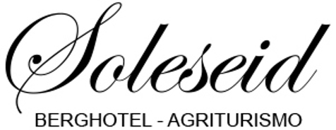 Soleseid Logo