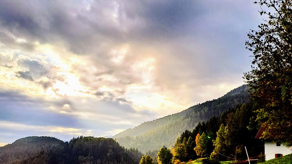 20231004_084318~2.jpg