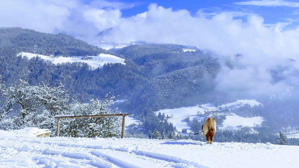winterurlaub-pustertal-suedtirol-1.jpg