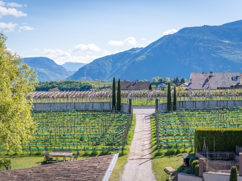 Glögglhof - Girlan in Southern South Tyrol