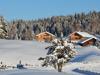 DSC_2296.jpg