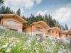 Chalet Altholztraum