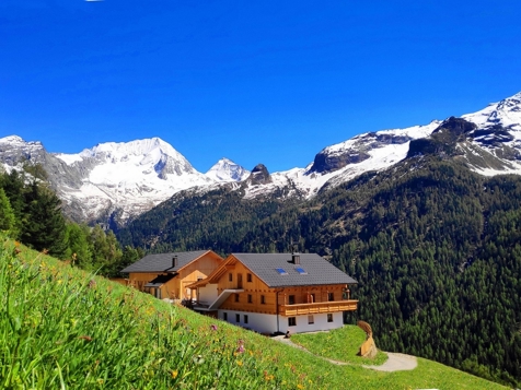 Kofler Biohof - Rein in Taufers im Tauferer Ahrntal