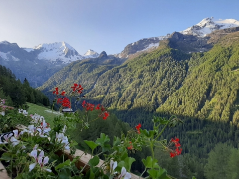Kofler Biohof - Rein in Taufers in Tauferer Ahrntal