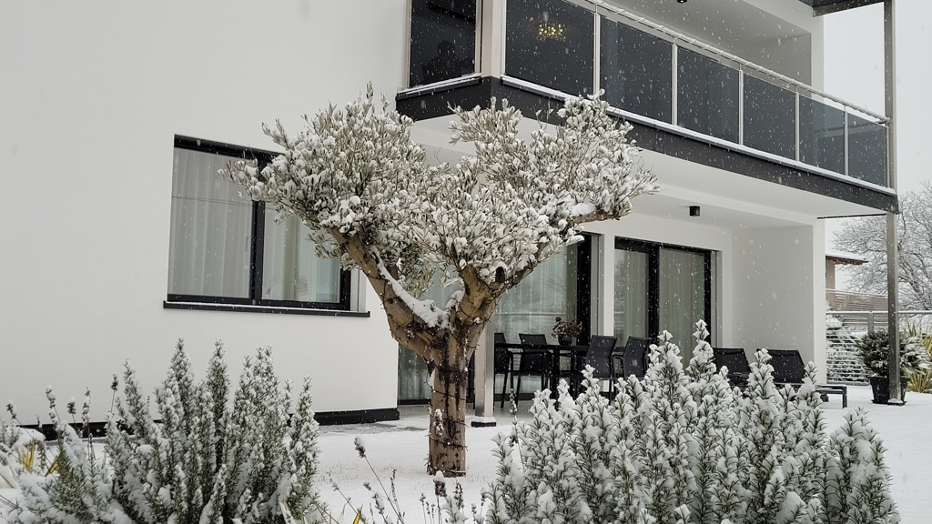 Ardesia - Nature Lifestyle Apartments - Apartment / Residence in Lana in Meran and environs / Południowy Tyrol