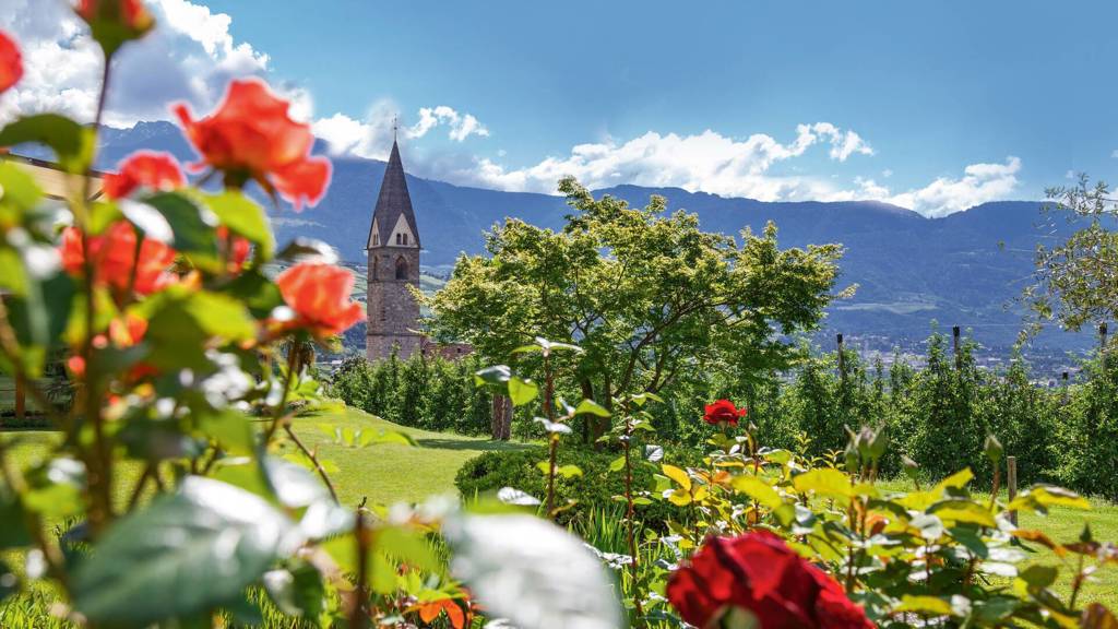 csm_rosengarten-wissenswertes-header_913105aa29.jpg