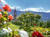 csm_rosengarten-wissenswertes-header_913105aa29.jpg