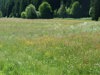 ferienwohnung-appartement-hellwegerhof-10.jpg