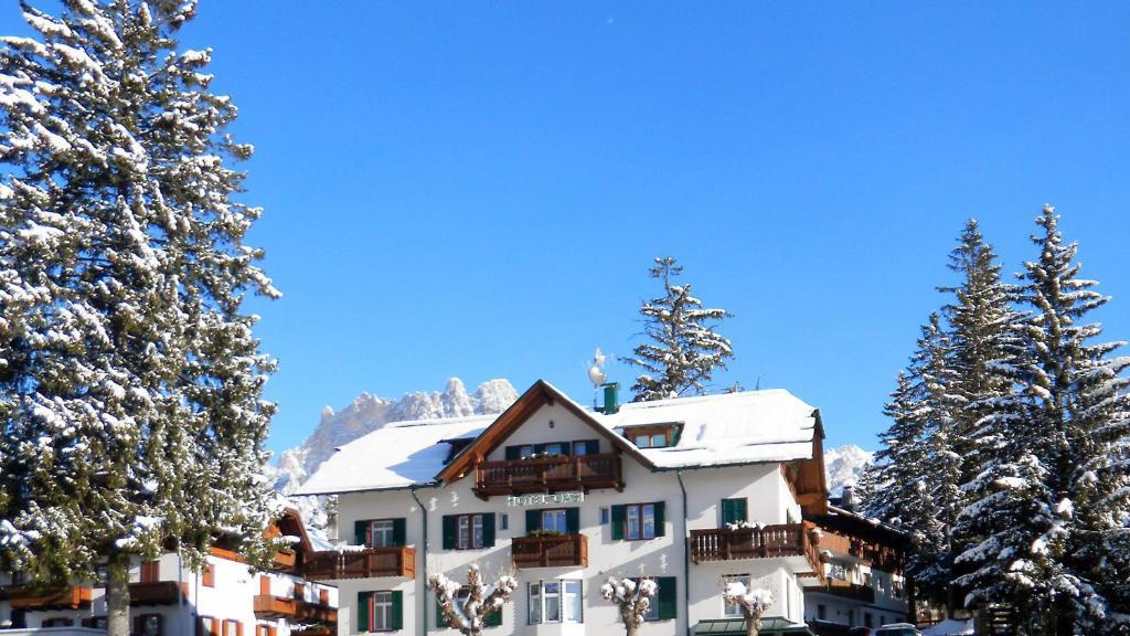 Hotel Oasi - Hotel in Cortina d'Ampezzo in Belluno / Dolomites