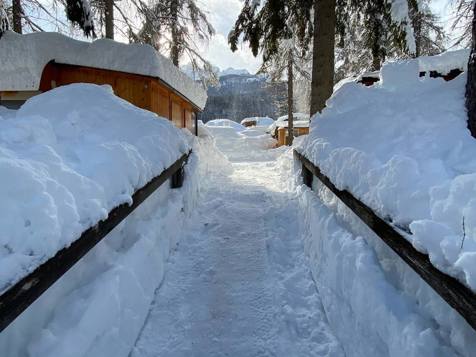 Camping Cortina - Cortina d'Ampezzo in Belluno