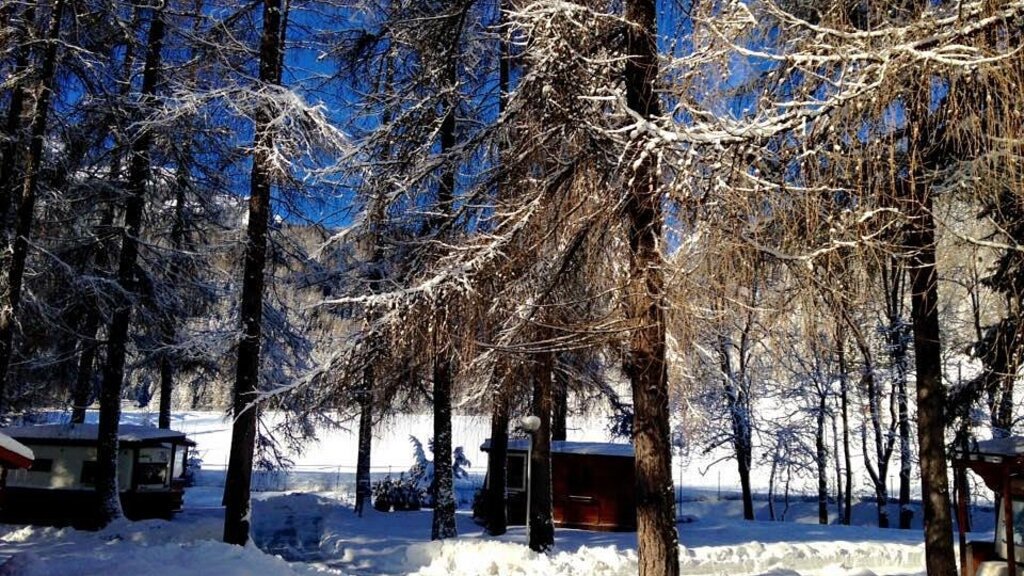 camping-rocchetta-internationa (13).jpg