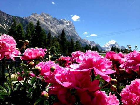 Camping Rocchetta - Cortina d'Ampezzo in Belluno