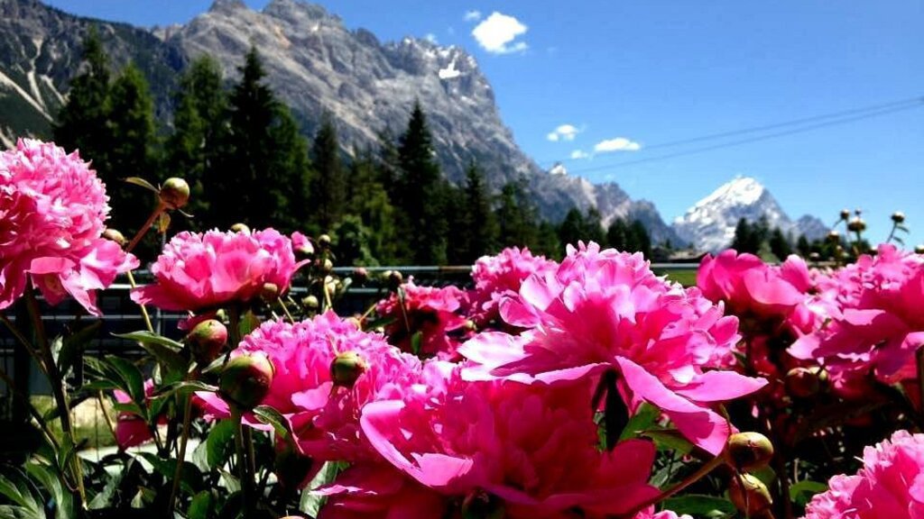 camping-rocchetta-internationa (6).jpg