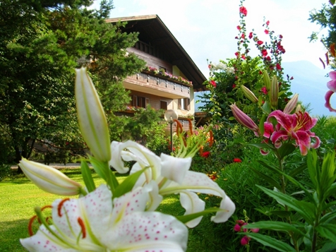 Residence Gritschhof - Latsch in Vinschgau