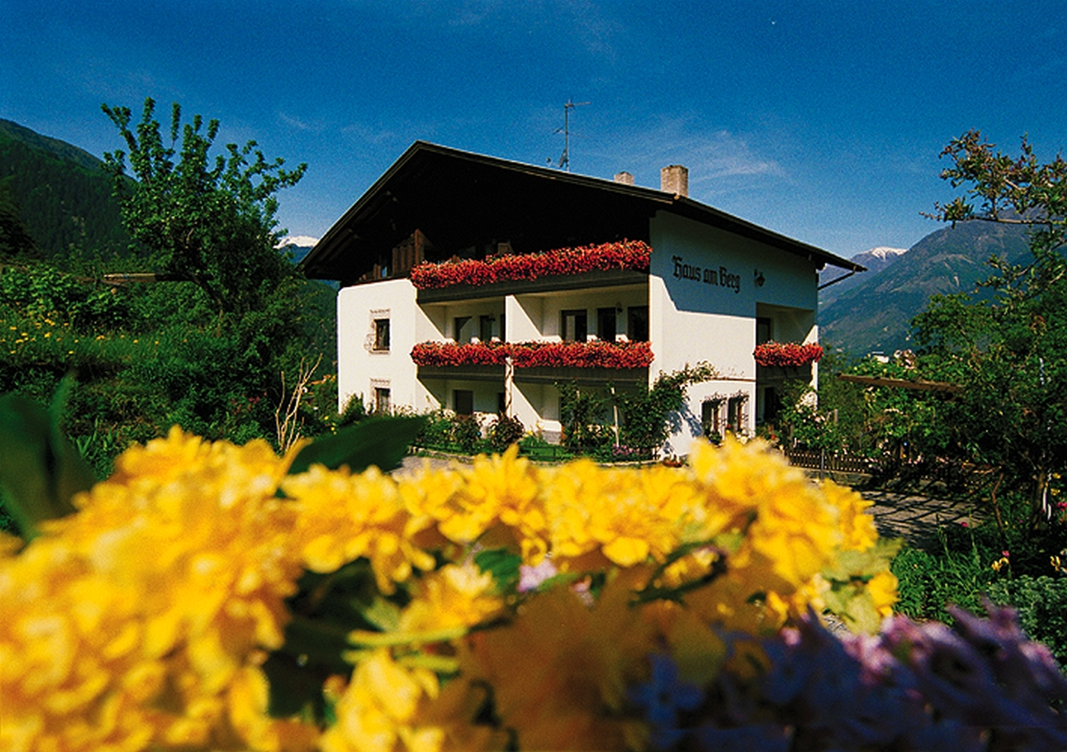 Haus am Berg - Laces in Val Venosta