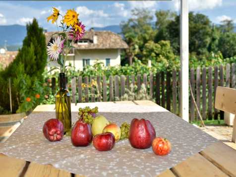 Heideggerhof - Caldaro sulla Strada del Vino della Bassa Atesina
