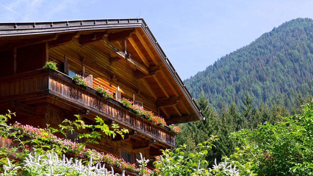 waldruhe-9154-150828.jpg