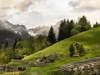 DSC_3592e.jpg