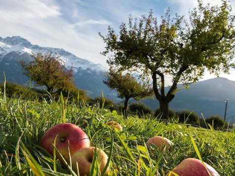 Ansitz Mair im Korn - Algund in Meran and environs