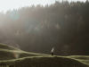 2024-28-October-Italia-HotelBadFallenbach-105.jpg